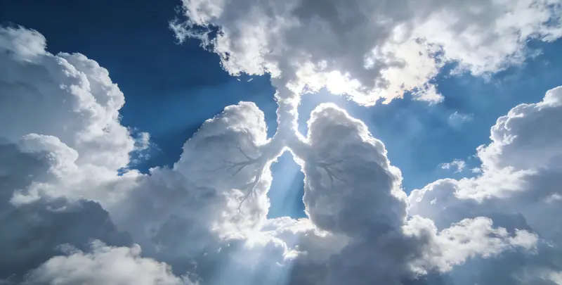 陇南肺癌（EGFR T790M)突变检测图片1